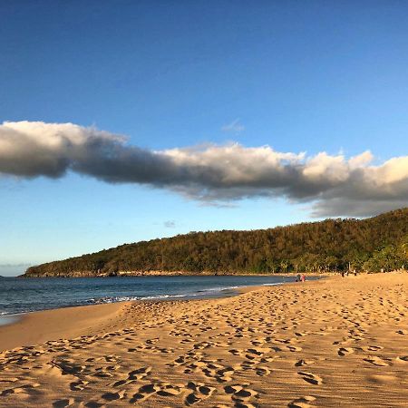 Le Surf Lodge, Chambre Avec Vue Mer Dans Un Ecrin De Verdure デエエ エクステリア 写真