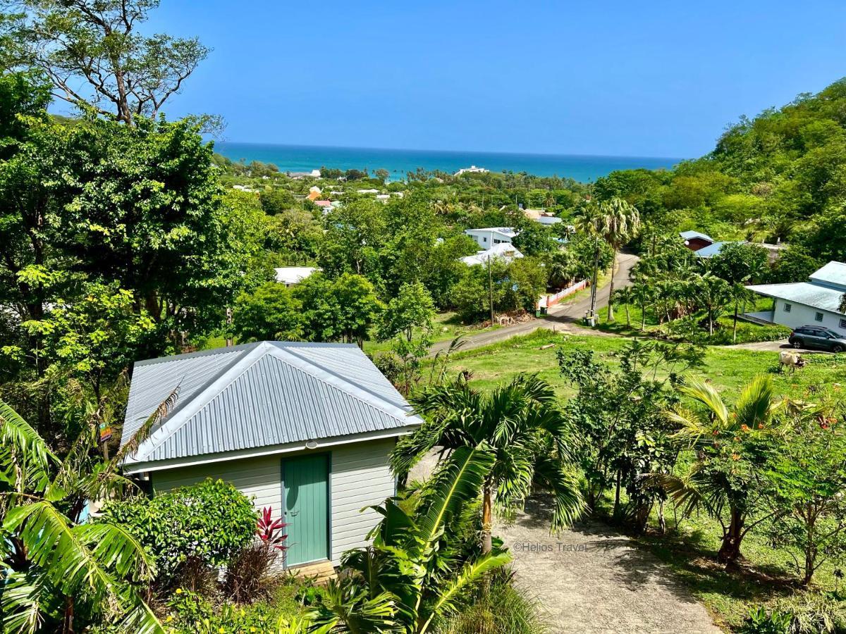 Le Surf Lodge, Chambre Avec Vue Mer Dans Un Ecrin De Verdure デエエ エクステリア 写真