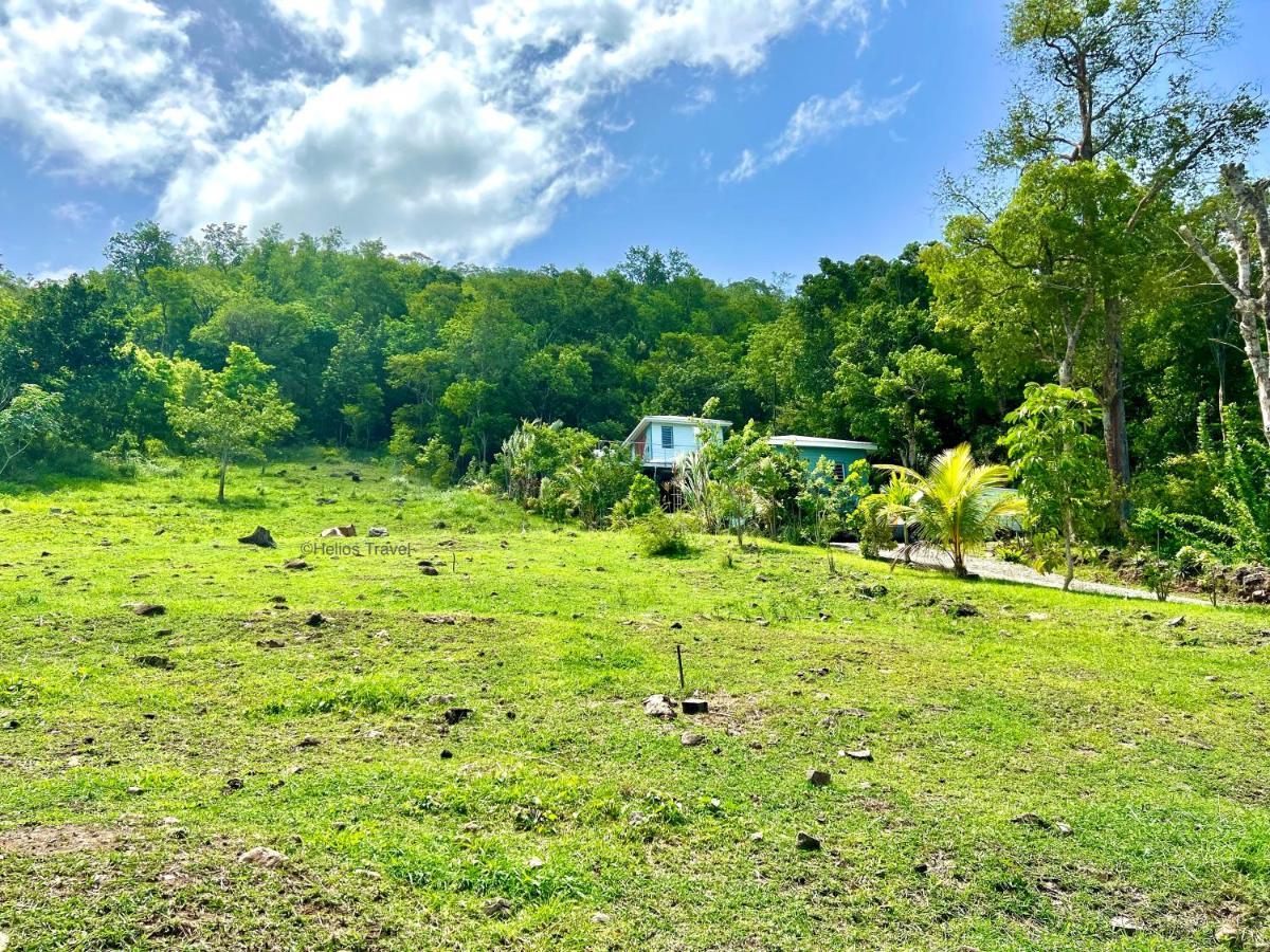 Le Surf Lodge, Chambre Avec Vue Mer Dans Un Ecrin De Verdure デエエ エクステリア 写真