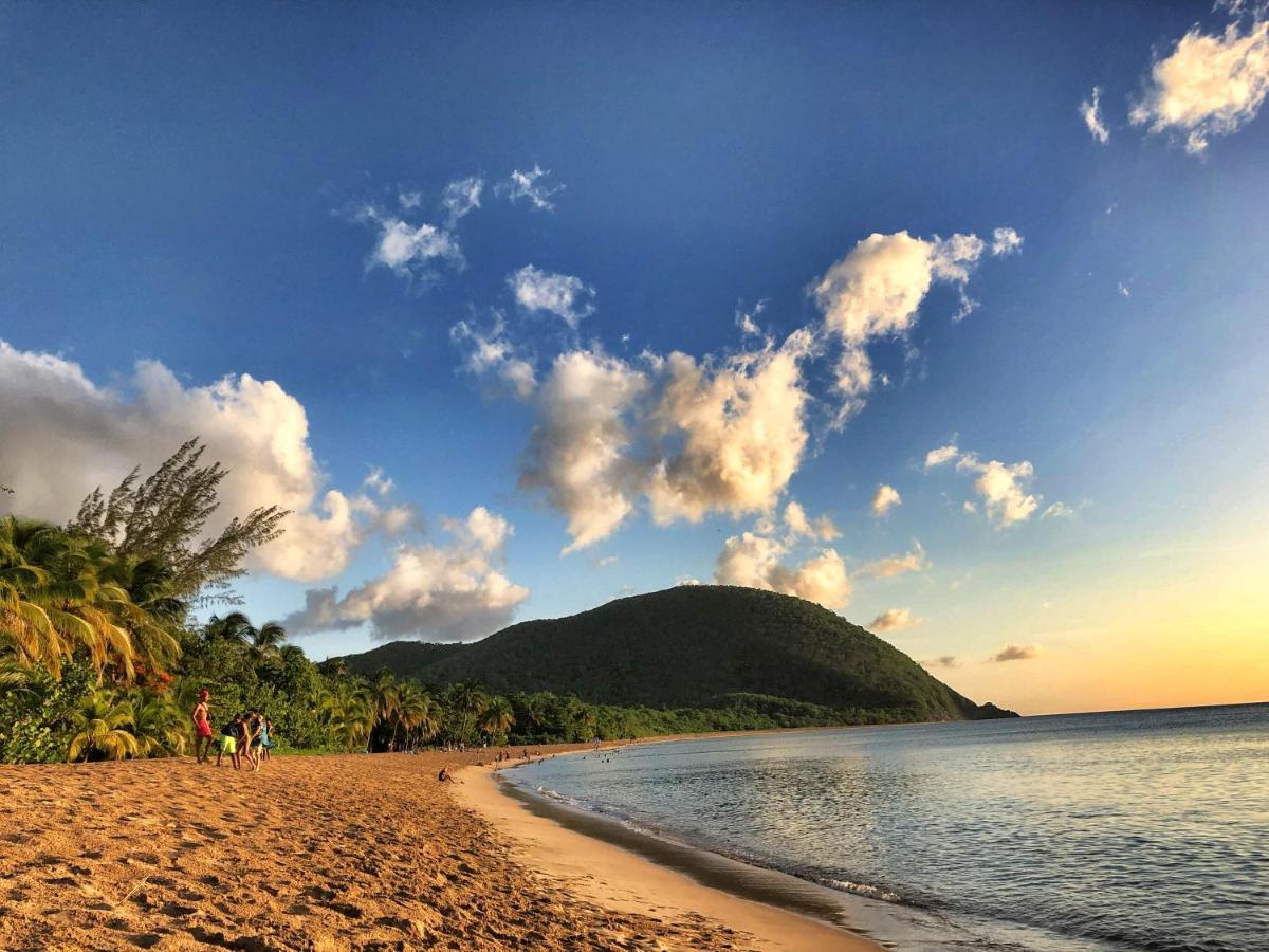 Le Surf Lodge, Chambre Avec Vue Mer Dans Un Ecrin De Verdure デエエ エクステリア 写真