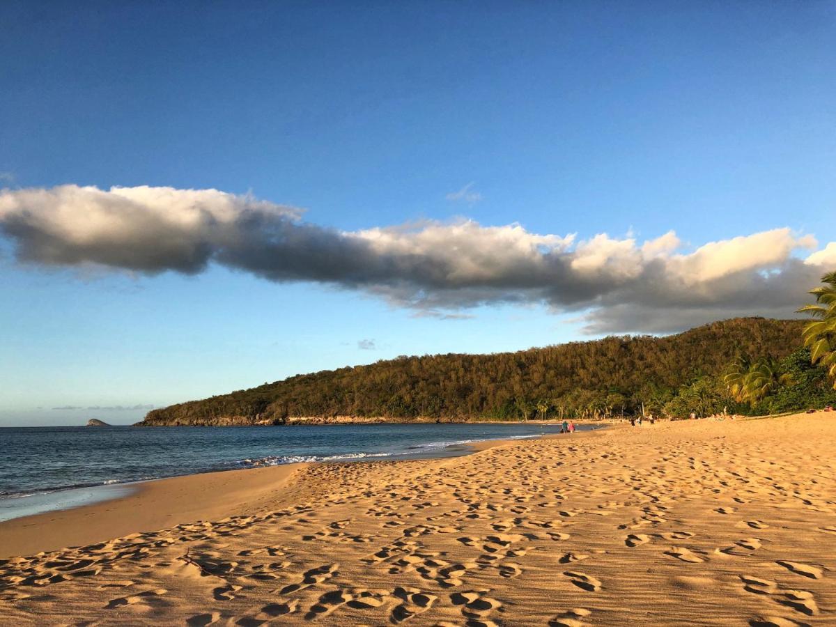 Le Surf Lodge, Chambre Avec Vue Mer Dans Un Ecrin De Verdure デエエ エクステリア 写真