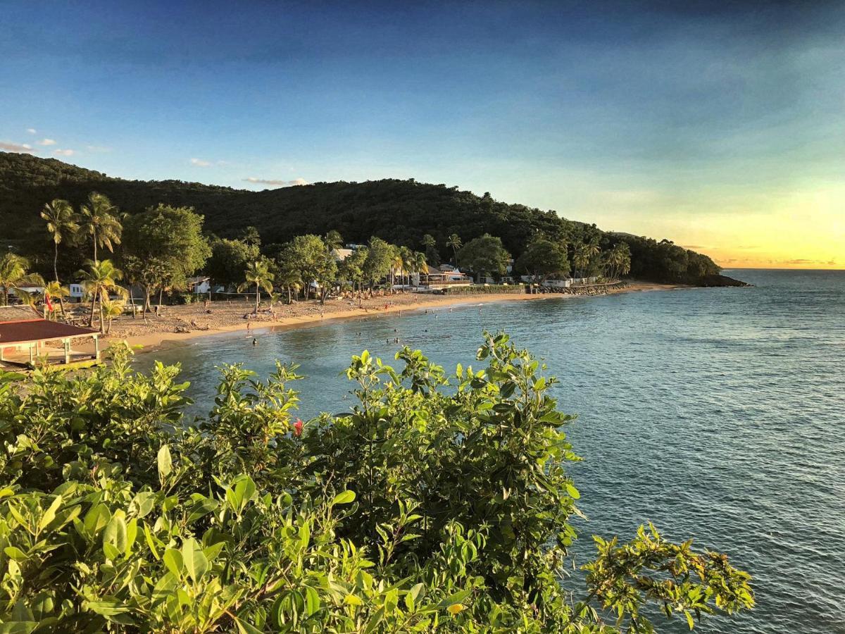 Le Surf Lodge, Chambre Avec Vue Mer Dans Un Ecrin De Verdure デエエ エクステリア 写真